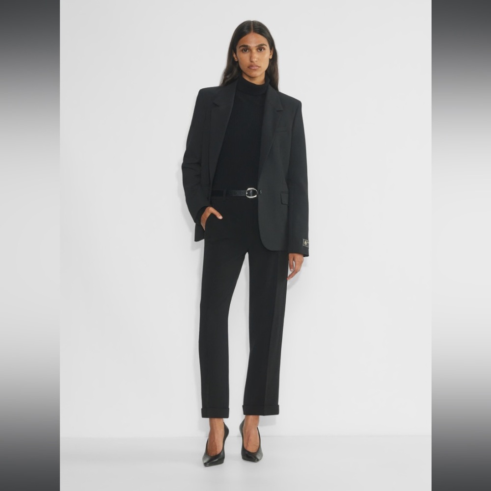 Aritzia Babaton Sartorial Pant